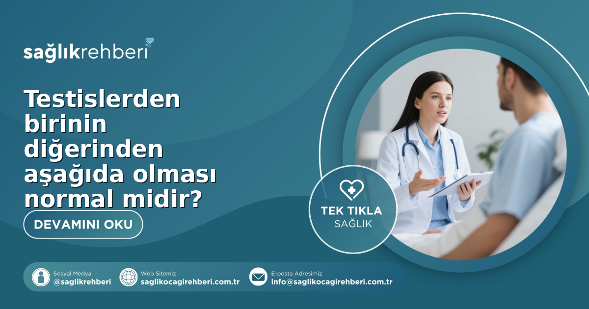 Testislerden birinin diğerinden aşağıda olması normal midir?